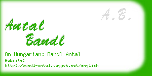 antal bandl business card